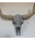 Rituální závěsná lebka býka / hlava býka